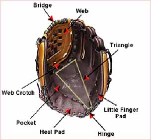 http://www.lineupforms.com/wp-content/uploads/2011/03/baseball-gloves-and-mitt-1.jpg